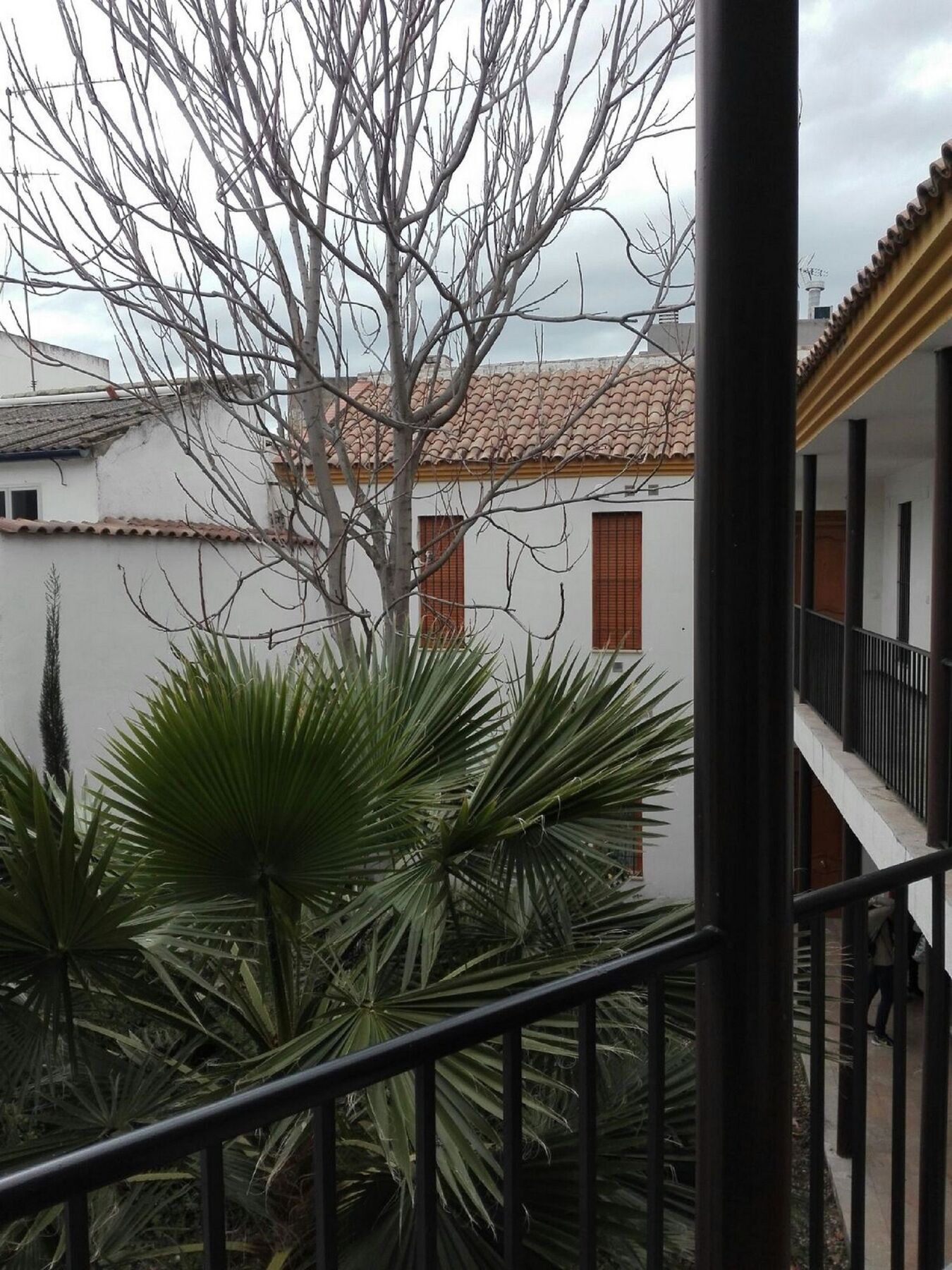 Apartamento Alfonso XII قرطبة المظهر الخارجي الصورة